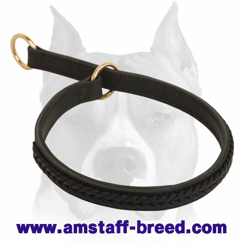 Taming decorative Choke Collar For Amstaff