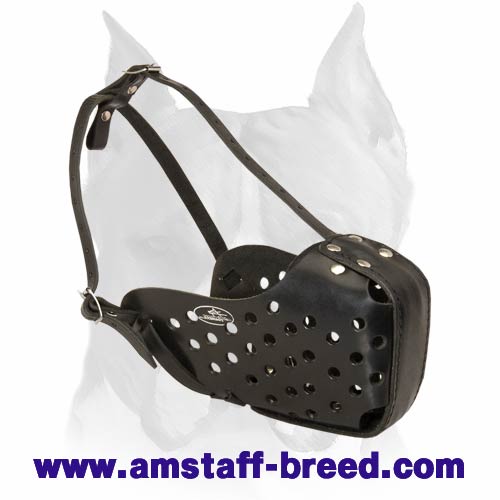 Compact Leather Muzzle for American Staffordshire Terrier - Click Image to Close
