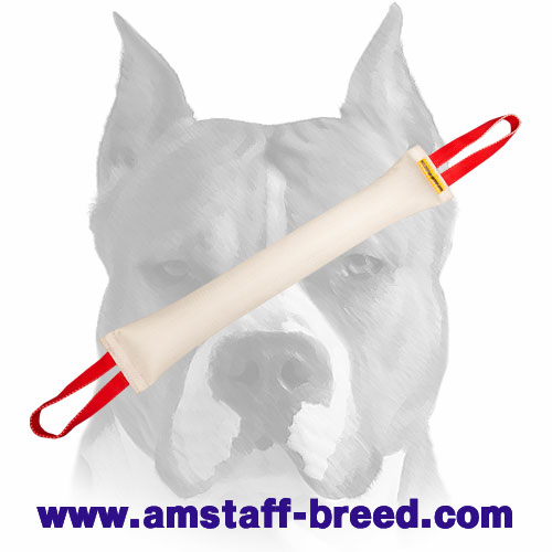 Amstaff Huge Fire Hose Bite Tug for Training Adult Dogs