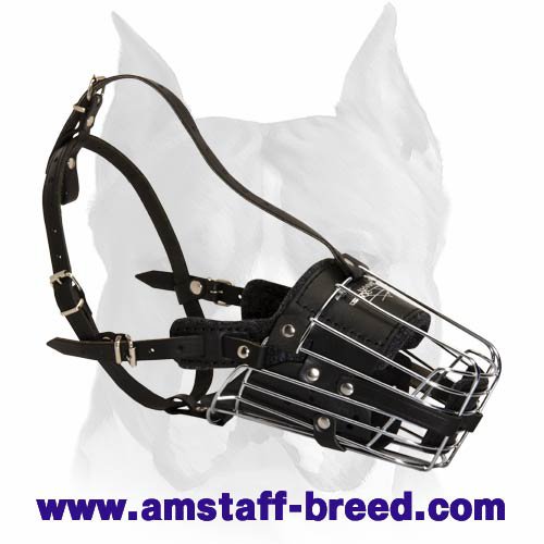 'No Mash' Law-and-Order Wire Cage Muzzle for Amstaff - Click Image to Close