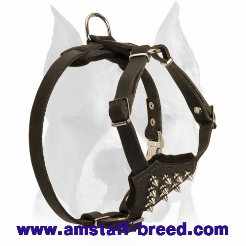 Amstaff Quality Spiked Chest Leather Dog Harness for Puppies