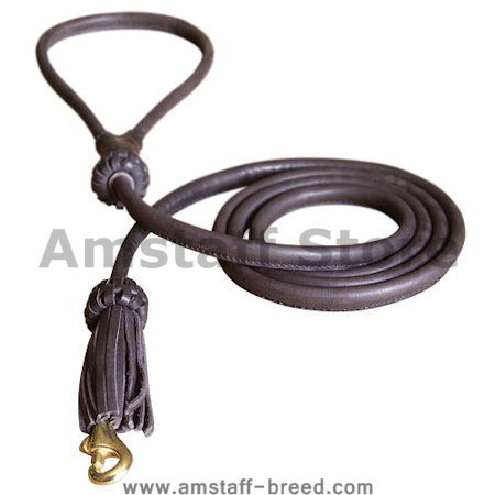 Rolled Leather Dog Leash 4 foot Round lead for Amstaff