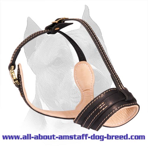 No More Barking Leather Muzzle for Amstaff