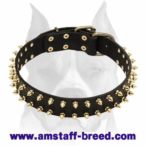 Amstaff Spiked Genuine Leather Dog Collar with Buckle - Click Image to Close
