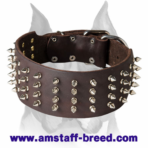 3 inch dog collar