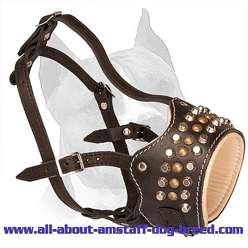 Studded and Padded Leather Amstaff Muzzle with Open-Front Part - Click Image to Close