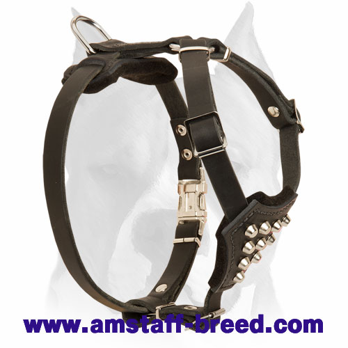 Amstaff Puppies Stylish Leather Dog Harness with Studs - Click Image to Close