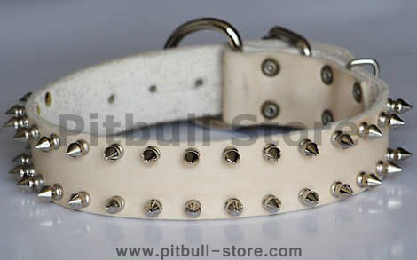 leather spiked dog collar 