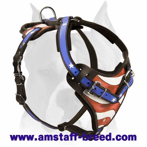 USA pride Harness for American Staffordshire Terriers