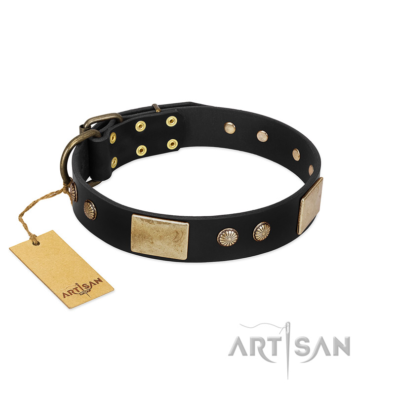 "Antique Gloss" FDT Artisan Black Leather Amstaff Collar with Bronze-like Plates and Small Studs - Click Image to Close