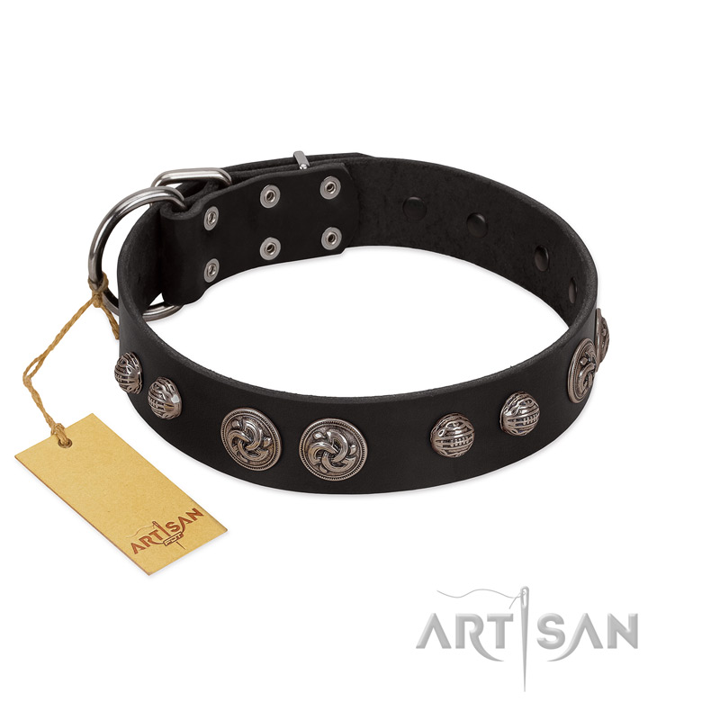 "Tricky Ricky" FDT Artisan Black Leather Amstaff Collar Adorned with Silver-Like Conchos