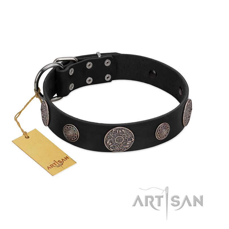 "Ad Infinitum" Durable FDT Artisan Black Leather Amstaff Collar with Chrome Plated Brooches