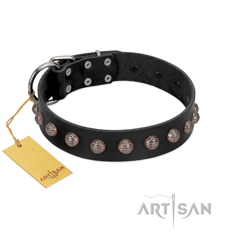 "Bizarre Affection" Designer Handmade FDT Artisan Black Leather Amstaff Collar