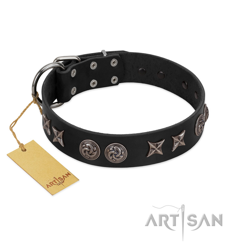 "Century Silver" Designer Handmade FDT Artisan Black Leather Amstaff Collar - Click Image to Close
