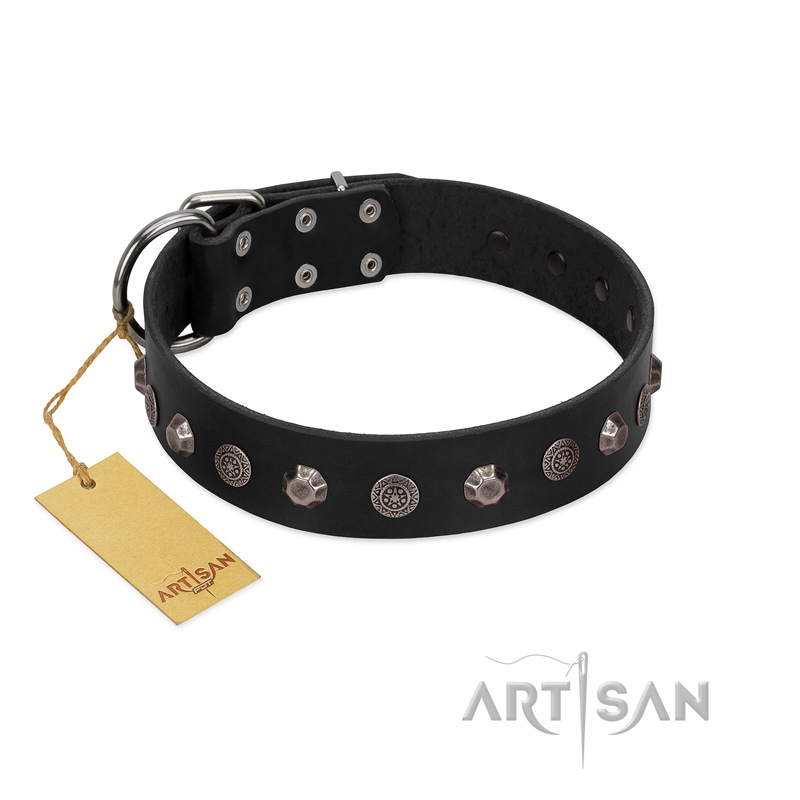 "Black Knight" Handmade FDT Artisan Black Leather Amstaff Collar with Silver-Like Studs
