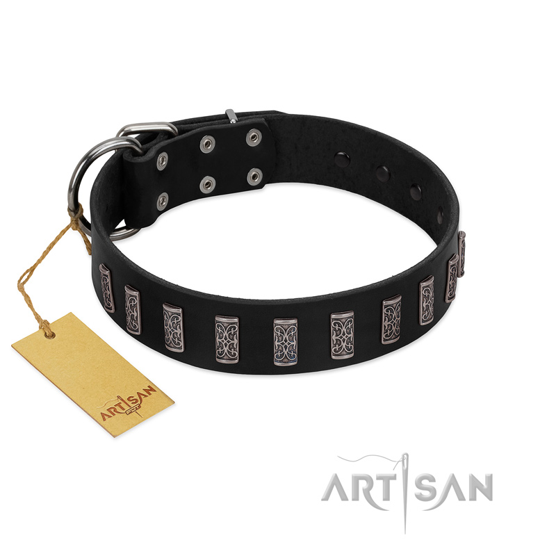 "Black Prince" Handmade FDT Artisan Black Leather Amstaff Collar with Silver-Like Adornments