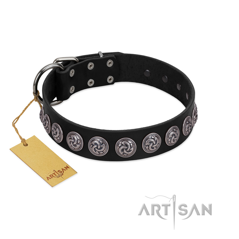 "Black Raven" Handmade FDT Artisan Black Leather Amstaff Collar with Silver-Like Adornments - Click Image to Close