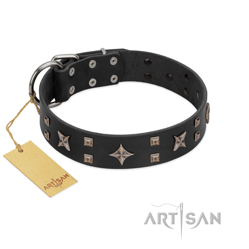 "Star Excitement" Modern FDT Artisan Black Leather Amstaff Collar with Studs and Stars