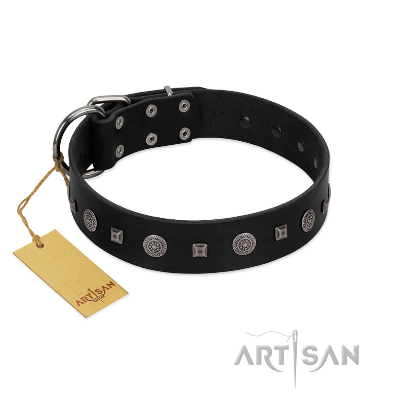 "Mr. Elegance" Designer FDT Artisan Black Leather Amstaff Collar with Silver-Like Studs