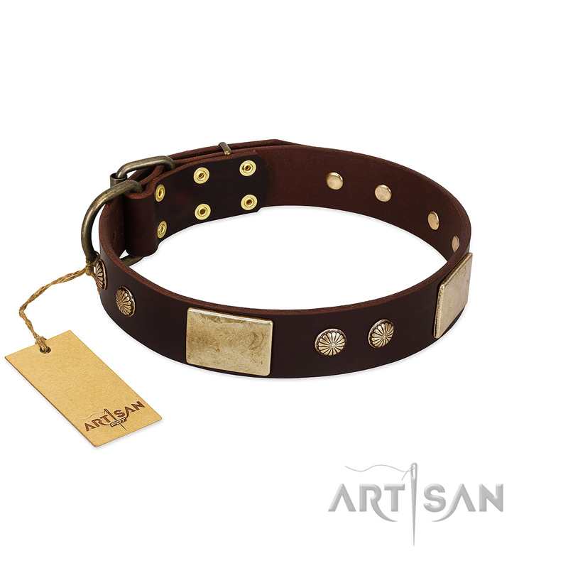 "Middle Age" FDT Artisan Brown Leather Amstaff Collar with Old Bronze-Plated Engraved Flowers and Large Plates