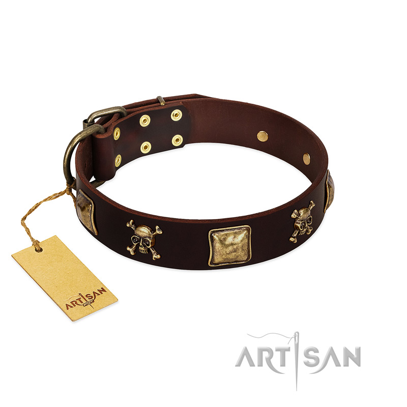 "Crazy Pirate" FDT Artisan Brown Leather Amstaff Collar with Old Bronze-Plated Skulls and Plates - Click Image to Close