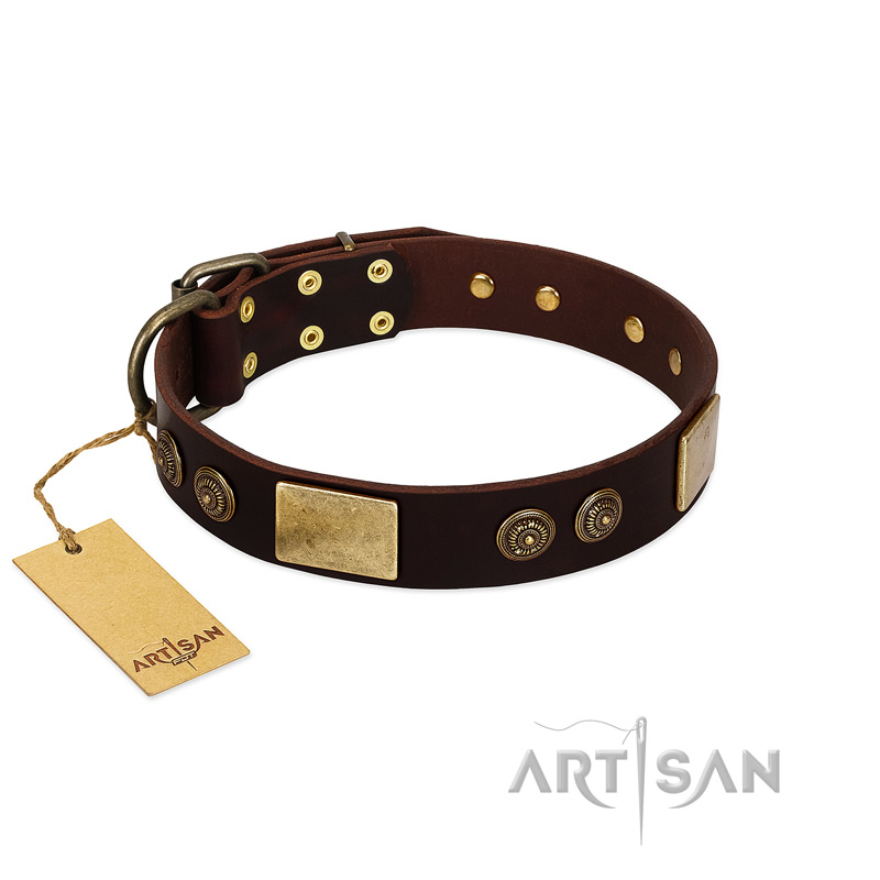 "Bow-Wow Effect" FDT Artisan Brown Leather Amstaff Collar with Plates and Ornate Studs