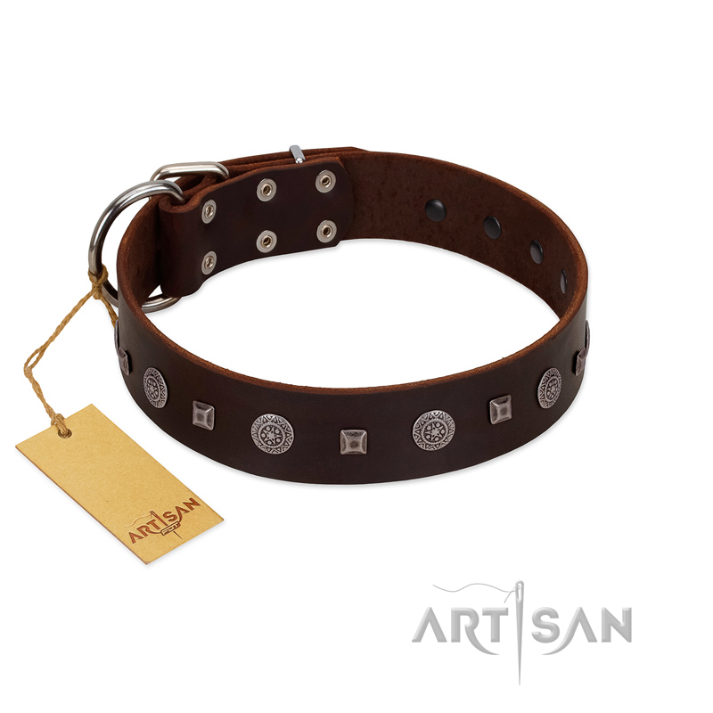 "Pure Sensation" Exclusive FDT Artisan Brown Leather Amstaff Collar with Fancy Brooches and Studs - Click Image to Close