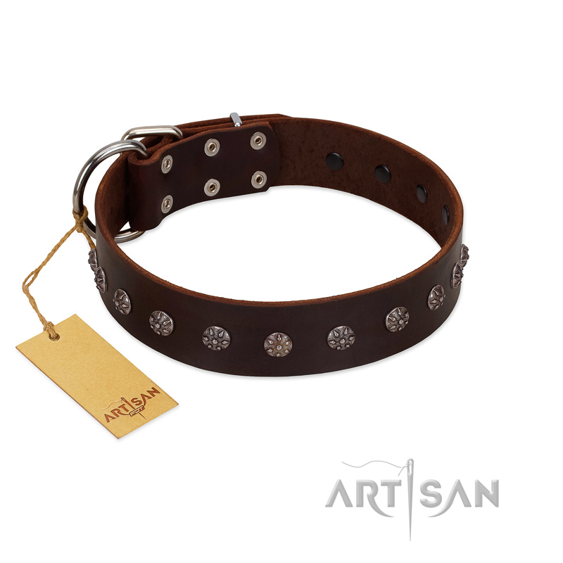 "Graceful Classic" Mod FDT Artisan Brown Leather Amstaff Collar