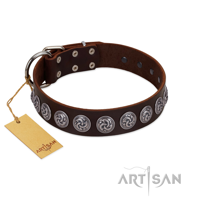 "Charming Circles" FDT Artisan Brown Leather Amstaff Collar with Silver-like Studs