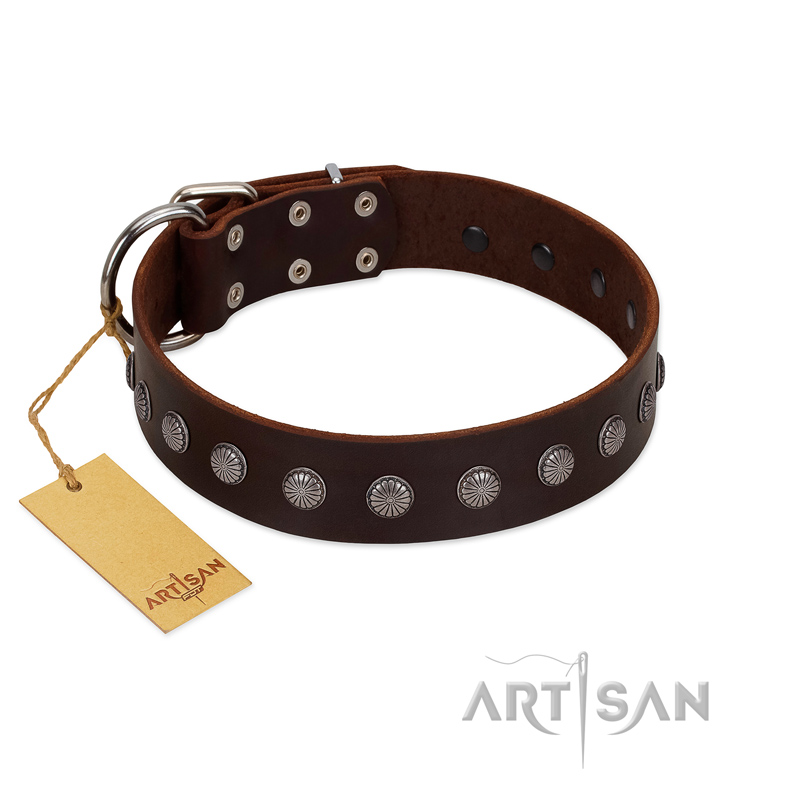 "Spring Flower" Stylish FDT Artisan Brown Leather Amstaff Collar for Comfy Walks - Click Image to Close