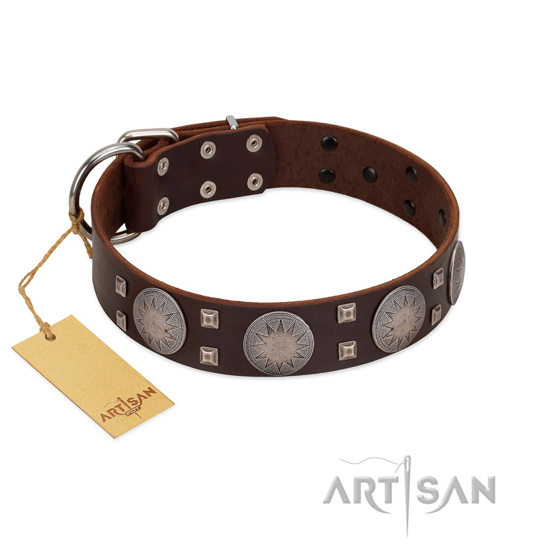 "Sun in Barchans" Modern FDT Artisan Brown Leather Amstaff Collar with Engraved Stars on Round Plates and Studs