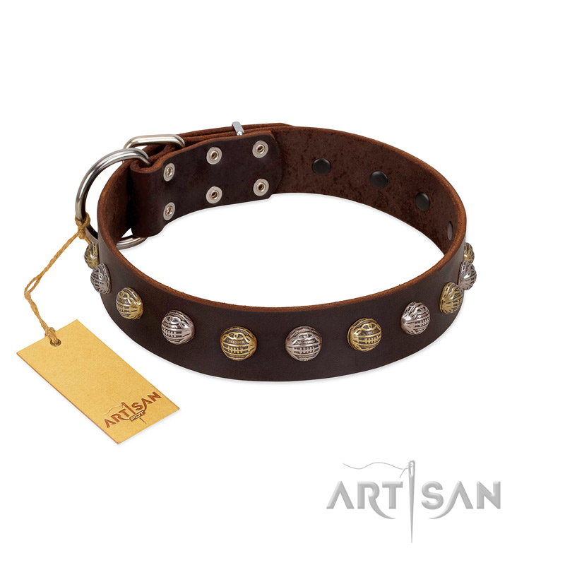 "Gape Buster" FDT Artisan Brown Leather Amstaff Collar with One Row of Studs