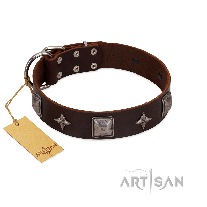 "Cold Star" Designer FDT Artisan Brown Leather Amstaff Collar with Silver-Like Adornments - Click Image to Close