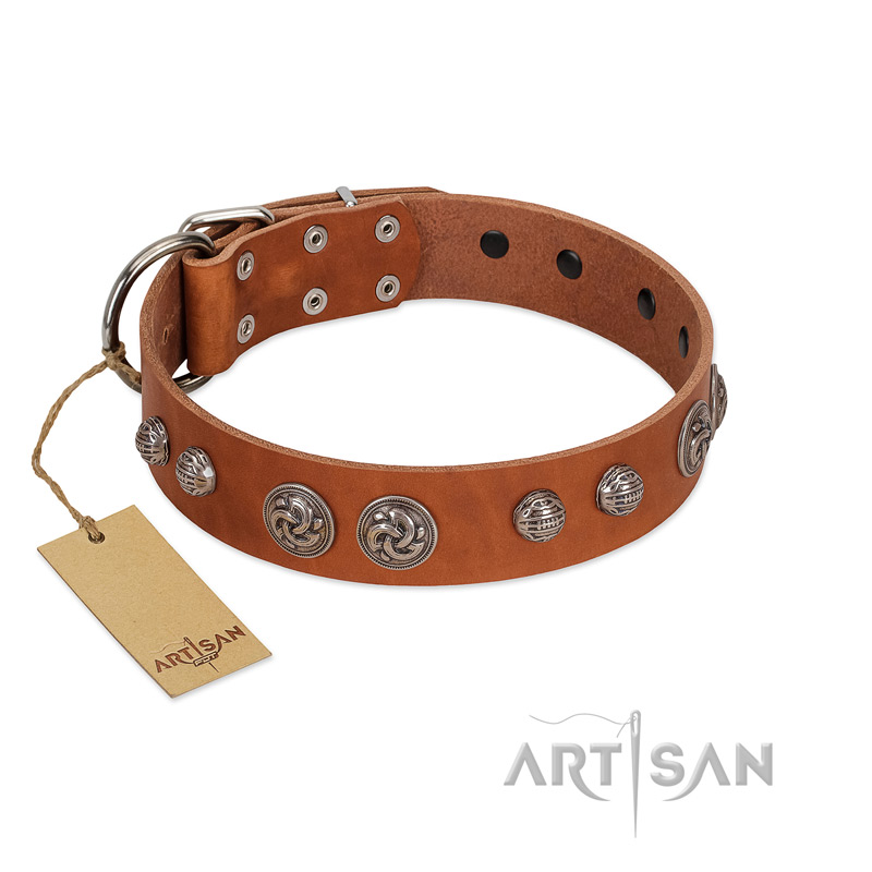"Era Infinitum" FDT Artisan Tan Leather Amstaff Collar Adorned with Chrome-plated Circles