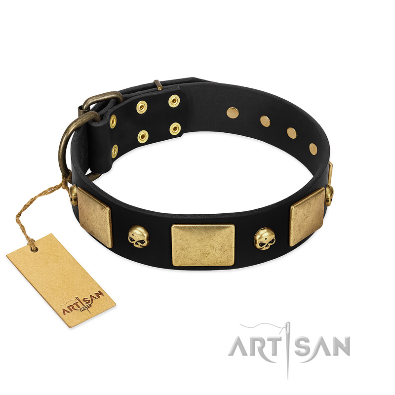 "Black Corsair" FDT Artisan Leather Amstaff Collar with Old Bronze-like Skulls and Plates
