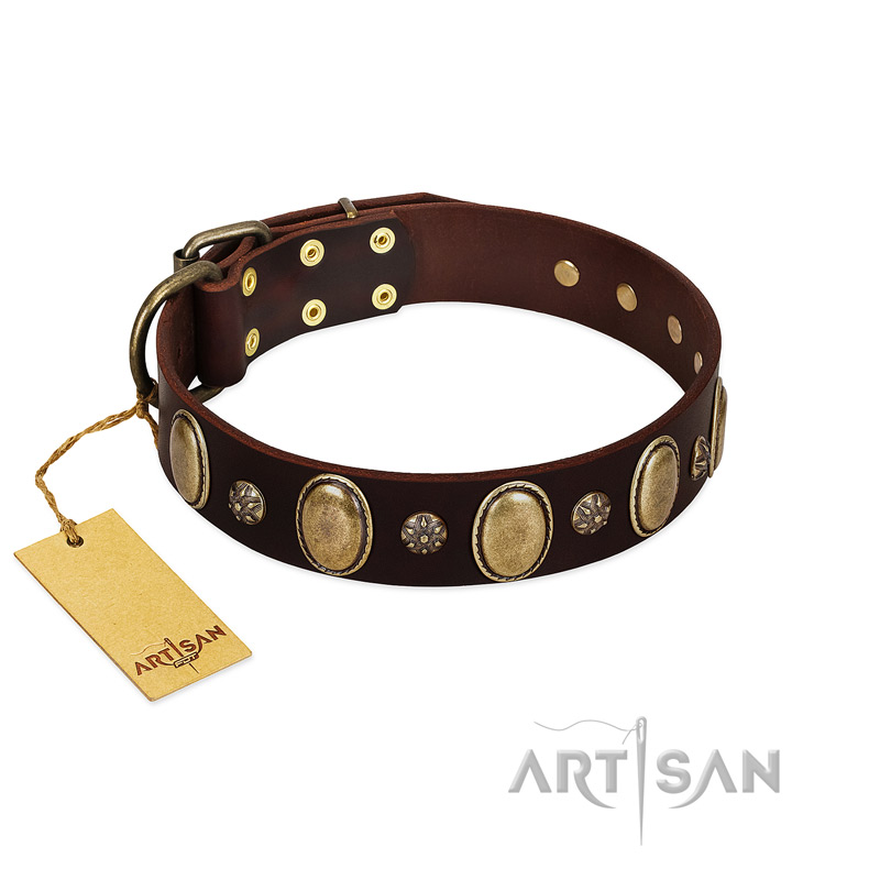 "Bronze Idol" FDT Artisan Brown Leather Amstaff Collar with Eye-catching Ovals and Small Studs