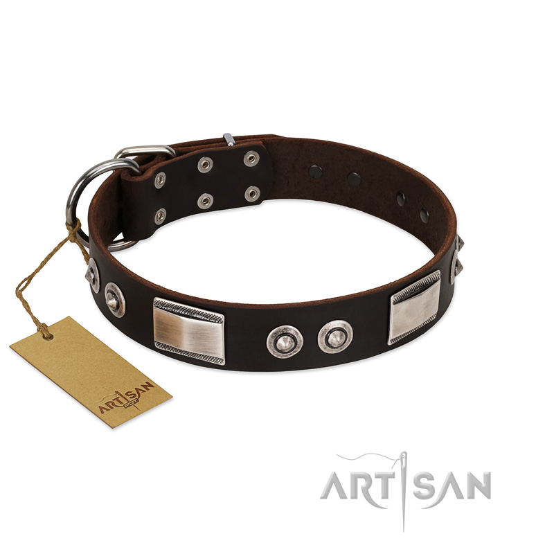 "Baller Status" FDT Artisan Brown Leather Amstaff Collar Adorned with a Set of Chrome Plated Studs and Plates