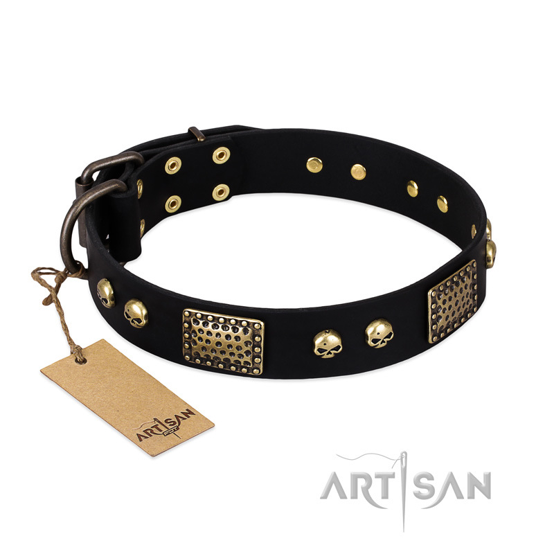 "Biker Style" FDT Artisan Black Leather Amstaff Collar with Old Bronze Look Plates and Skulls - Click Image to Close