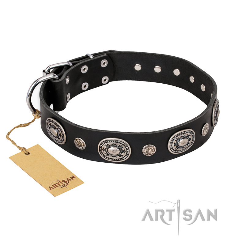 "Black Tie" FDT Artisan Leather Amstaff Collar with Old Silver-like Decorations - Click Image to Close