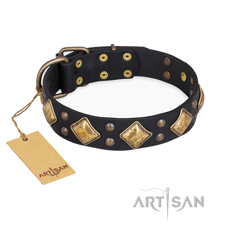 "Fancy-Schmancy" FDT Artisan Studded Leather Amstaff Collar