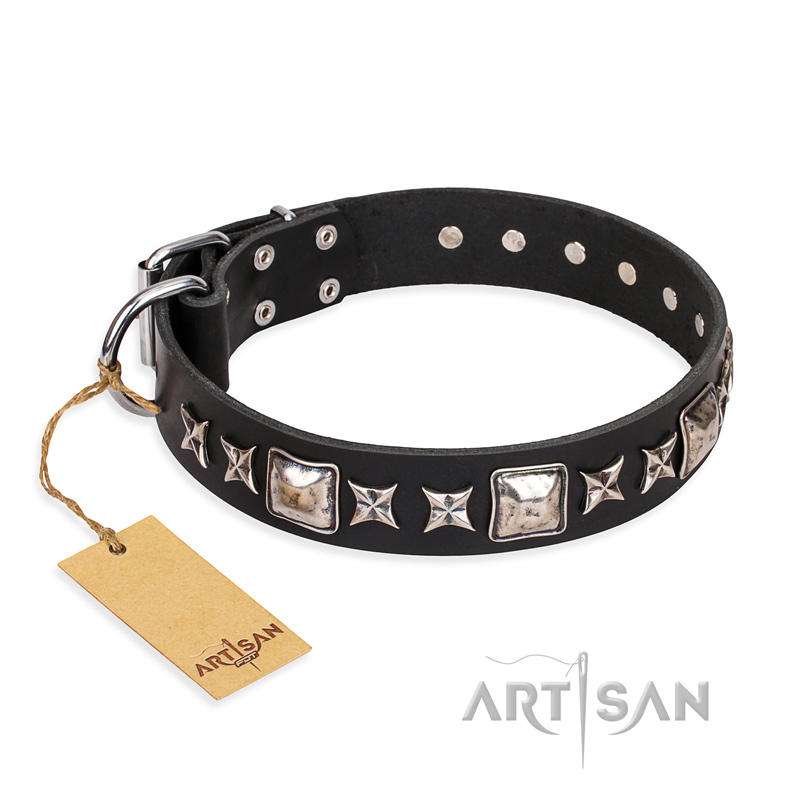"Space Walk" FDT Artisan Black Leather Amstaff Collar with Adornments