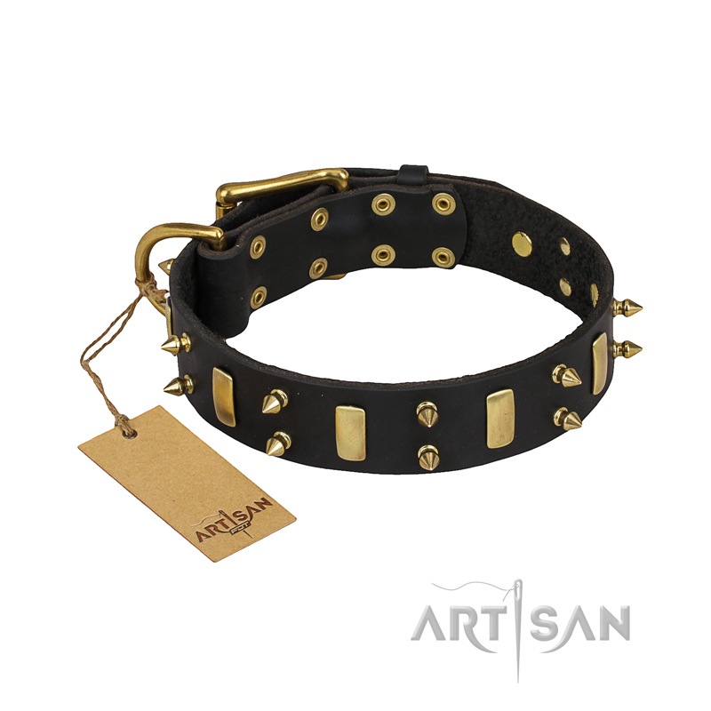 "Medieval Style" FDT Artisan Leather Amstaff Collar with Brass Plated Plates and Spikes