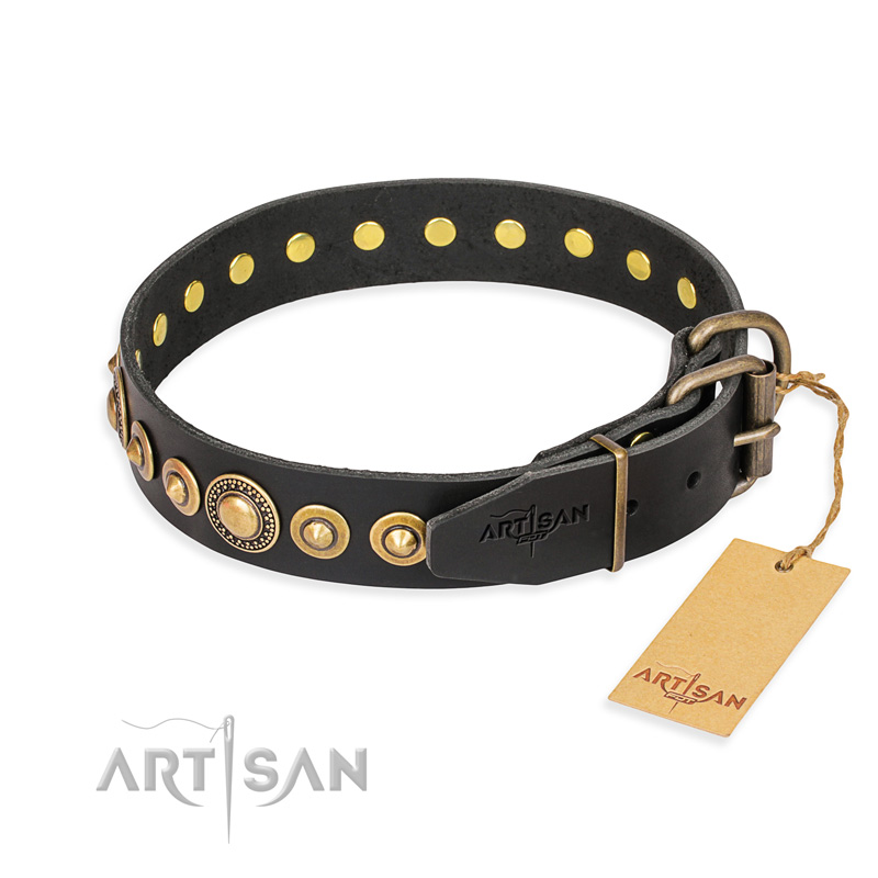 "Gold Mine" FDT Artisan Black Leather Amstaff Collar with Amazing Bronze-Plated Round Studs