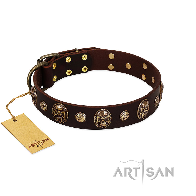 "Snazzy Paws" FDT Artisan Brown Leather Amstaff Collar Adorned with Conchos and Medallions
