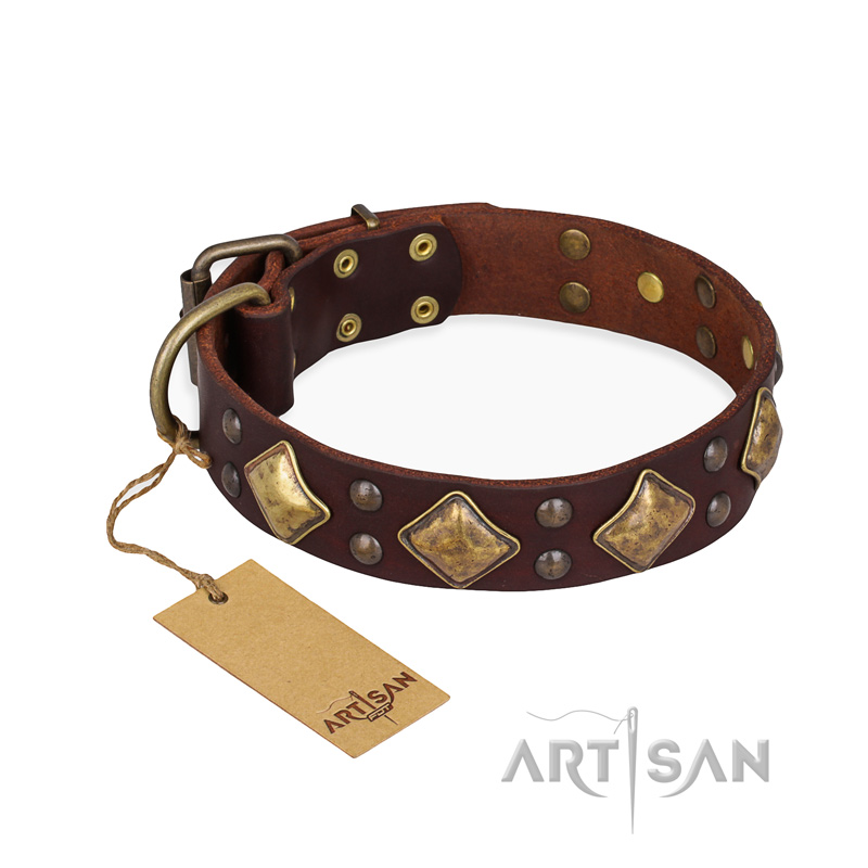 "Golden Square" FDT Artisan Brown Leather Amstaff Collar with Large Squares