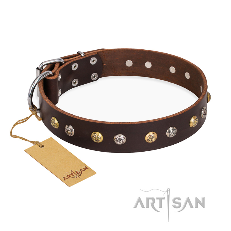 "Golden"n"Silver Luxury" FDT Artisan Leather Amstaff Collar with Engraved Studs