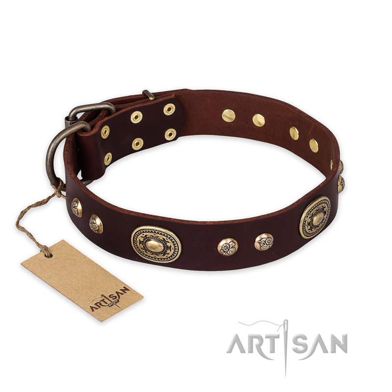 "Breath of Elegance" FDT Artisan Decorated with Plates Brown Leather Amstaff Collar