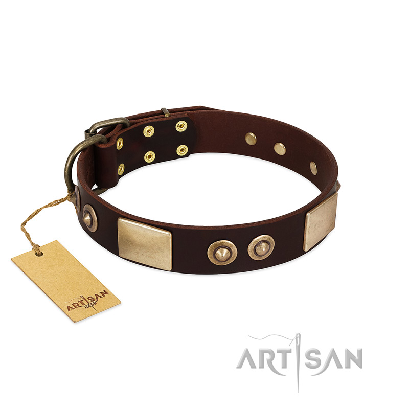 "Sense of Freedom" FDT Artisan Brown Leather Amstaff Collar with Old Bronze-Plated Studs and Plates