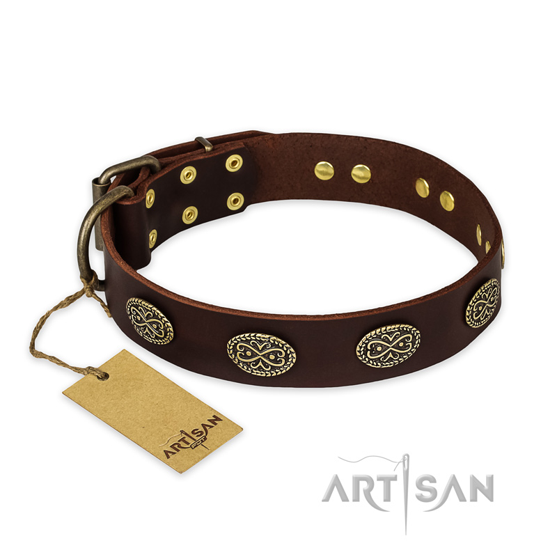 "Chocolate kiss" FDT Artisan Leather Amstaff Collar with Old Bronze Look Oval Plates - Click Image to Close