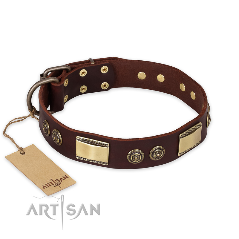 "Golden Stones" FDT Artisan Brown Leather Amstaff Collar with Old Bronze Look Plates and Circles - Click Image to Close